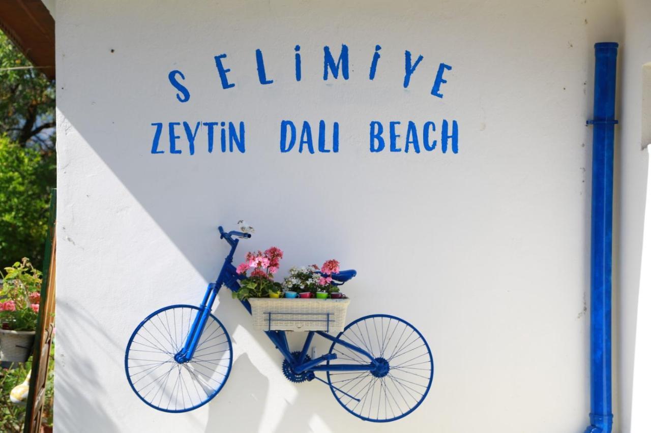 Zeytin Dali Butik Otel 셀리미예 외부 사진